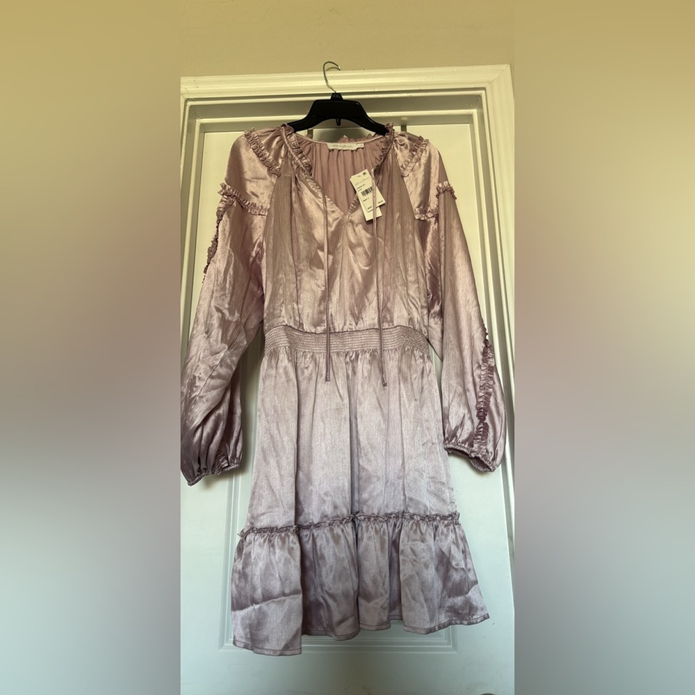 Ruffle Long Sleeve Satin Minidress